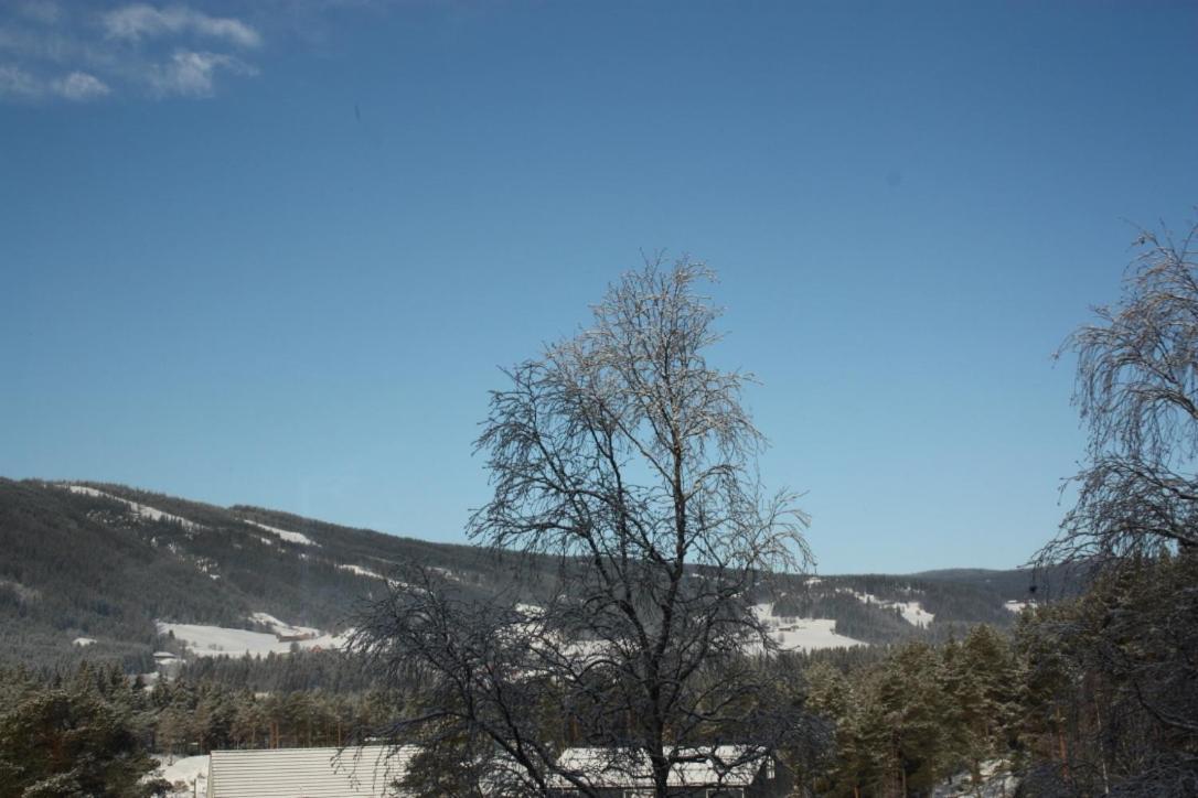 Bed & Breakfast Furulund